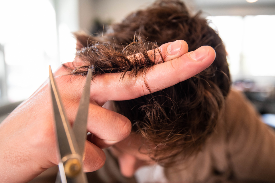 Hairdresser Cut (stock photo)